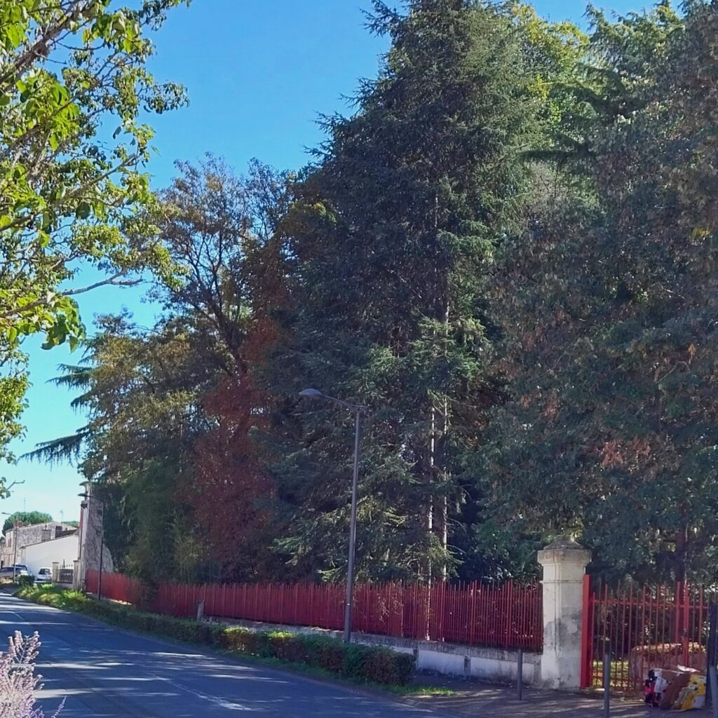 Jean Moulin Parc Pouget Après