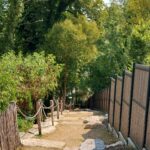 passage robinson après