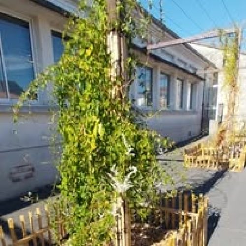 cours elementaire montpon après